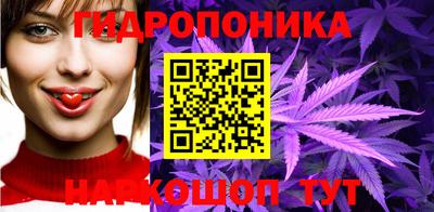 Альфа ПВП Сланцы
