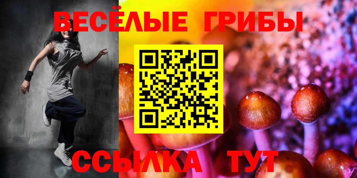 Галлюциногенные грибы Psilocybine cubensis  где купить наркоту  Новозыбков  Галлюциногенные грибы GOLDEN TEACHER  Вход с VPN 